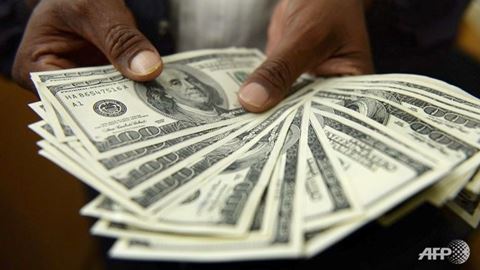 Bản tin về VAMC trên Thời sự trưa 